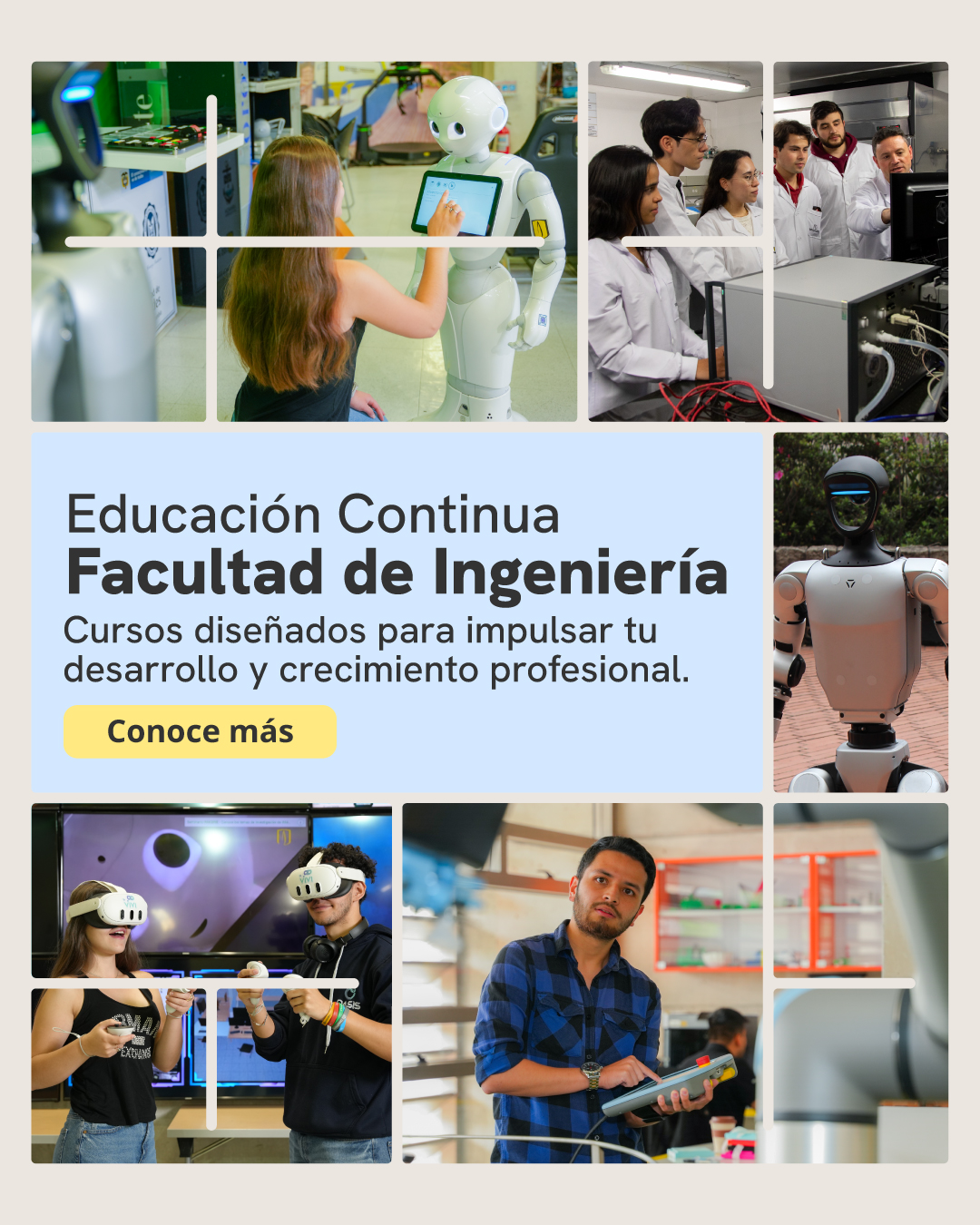 imagen de stock